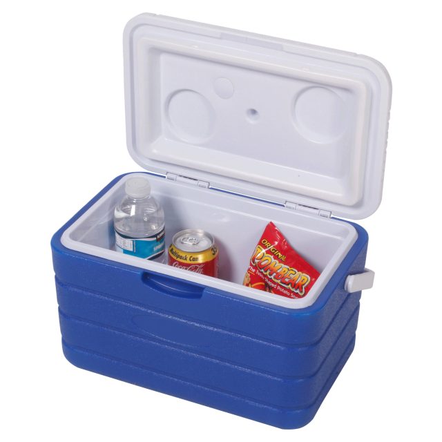 Buy wholesale cooler boxes online and save big (2)
