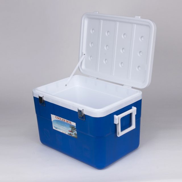 Custom logo cooler boxes brand your chilling experience (1)