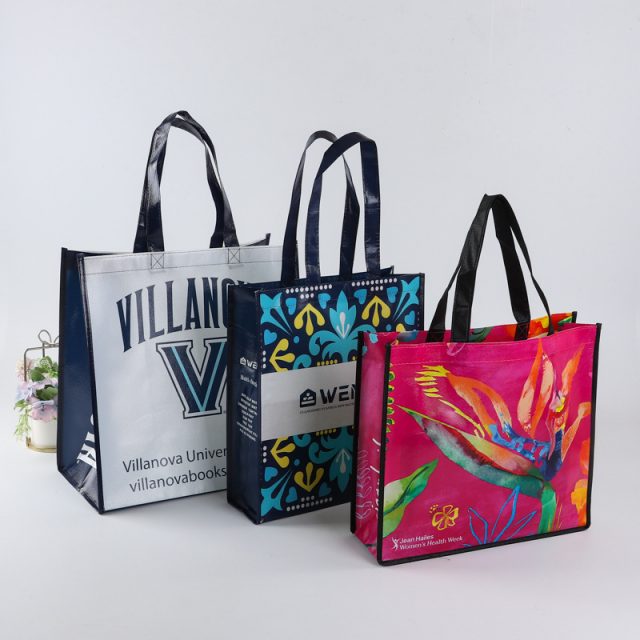 Design custom non woven wine bags for gifts (5)