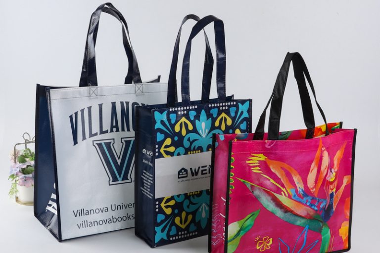 Design custom non woven wine bags for gifts (5)