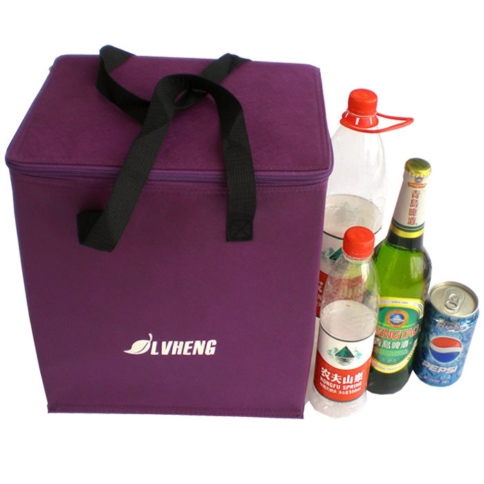 Leading manufacturer of cooler bags coolness guaranteed (1)