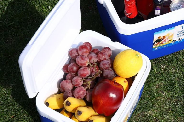 Personalize your cooler boxes with custom prints (3)