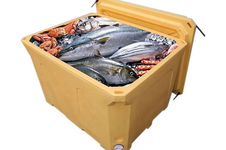 Personalized custom cooler boxes for fishing trips (7)