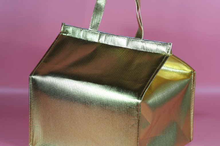 Stay cool anywhere with manufacturer s cooler bags (6)