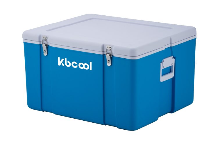 Stock up on wholesale cooler boxes for your business needs (6)