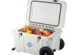 Wholesale cooler boxes keep your goods fresh on the go (2)
