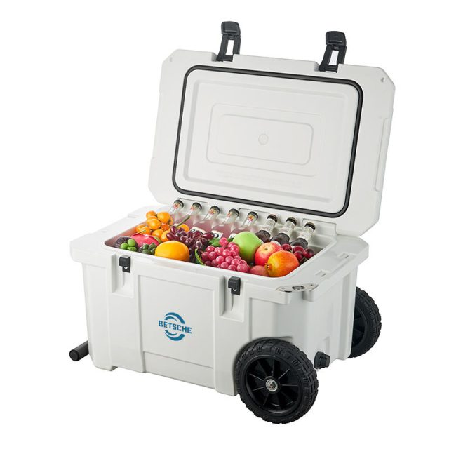 Wholesale cooler boxes keep your goods fresh on the go (2)