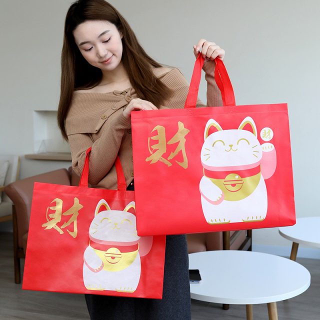 Wholesale custom non woven bags bulk orders welcome (5)