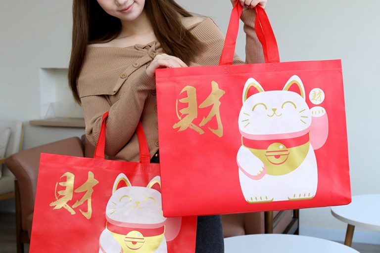 Wholesale custom non woven bags bulk orders welcome (5)