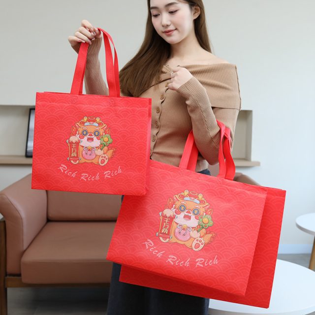 Wholesale custom non woven bags bulk orders welcome (8)