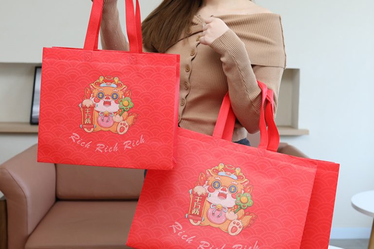 Wholesale custom non woven bags bulk orders welcome (8)